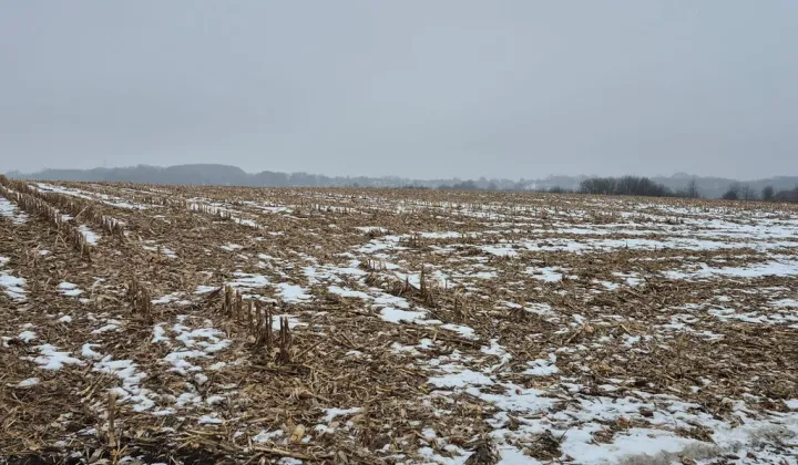 Działka budowlana Modlniczka, ul. Wąwozowa