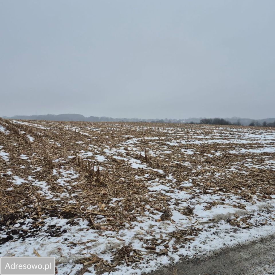 Działka budowlana Modlniczka, ul. Wąwozowa. Zdjęcie 1