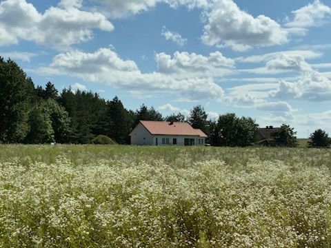 dom wolnostojący, 4 pokoje Łyna, Łyna. Zdjęcie 1