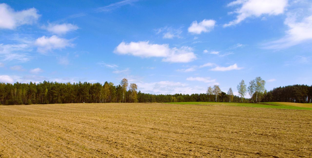 Działka budowlana Lipy. Zdjęcie 10