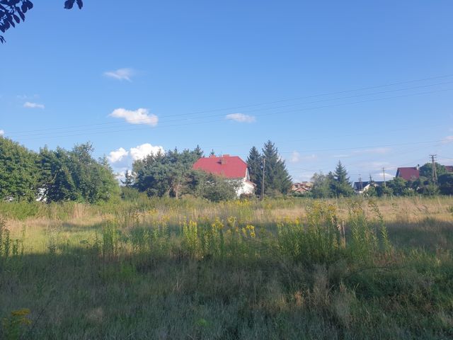 Działka budowlana Święta Katarzyna. Zdjęcie 1