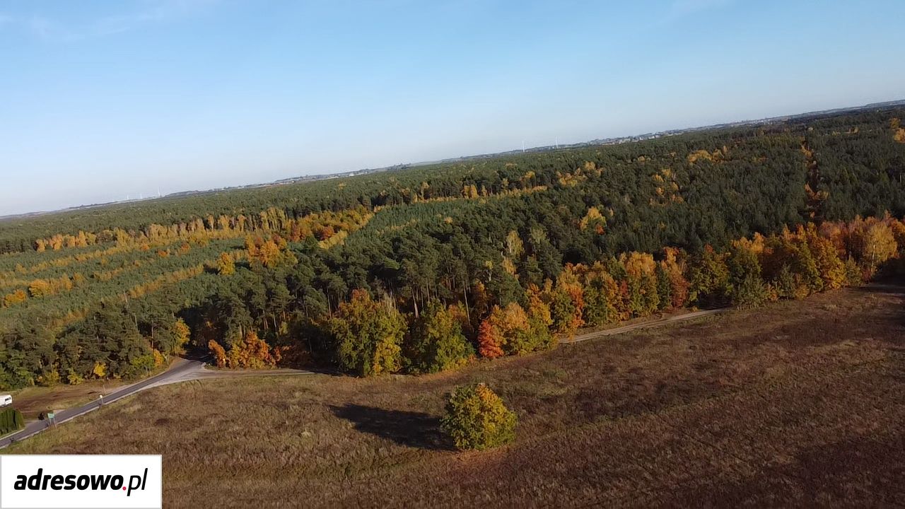Działka budowlana Smólniki Osieckie. Zdjęcie 7