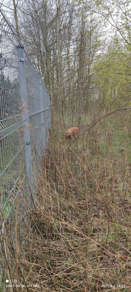 Działka budowlana Mokas. Zdjęcie 5