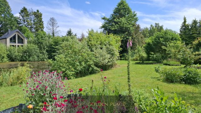 Działka rekreacyjna Bieszkowice, ul. Okrężna. Zdjęcie 7