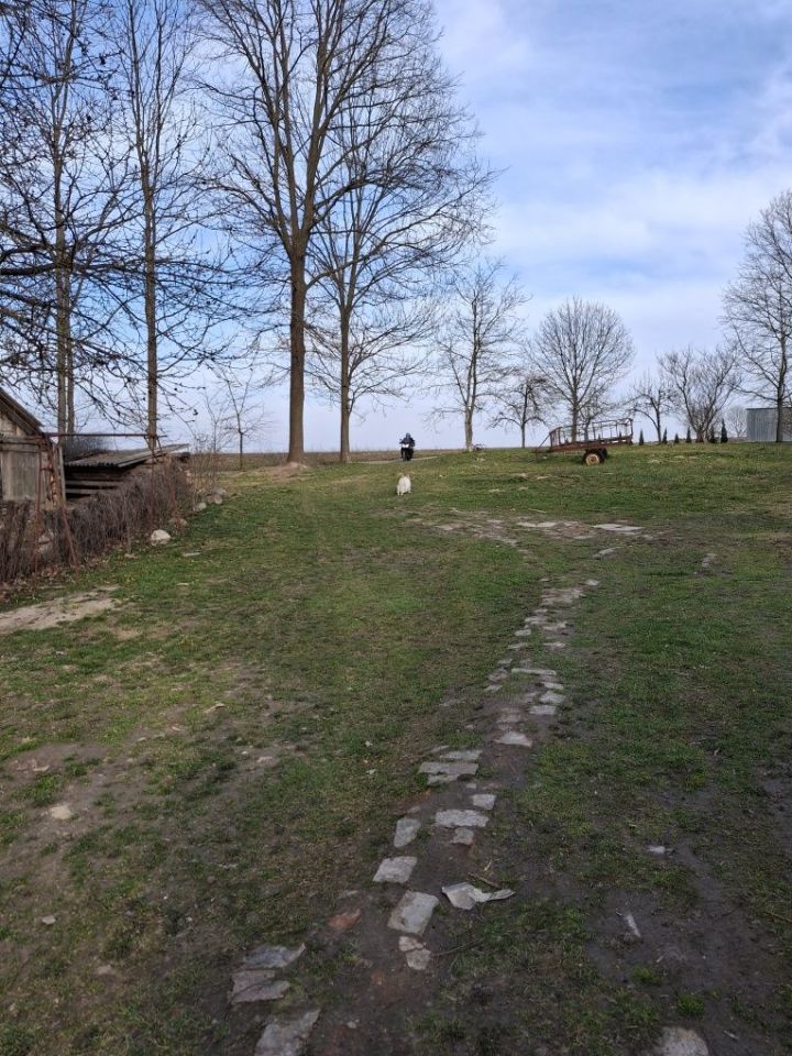 Działka rolno-budowlana Tarnogród. Zdjęcie 7