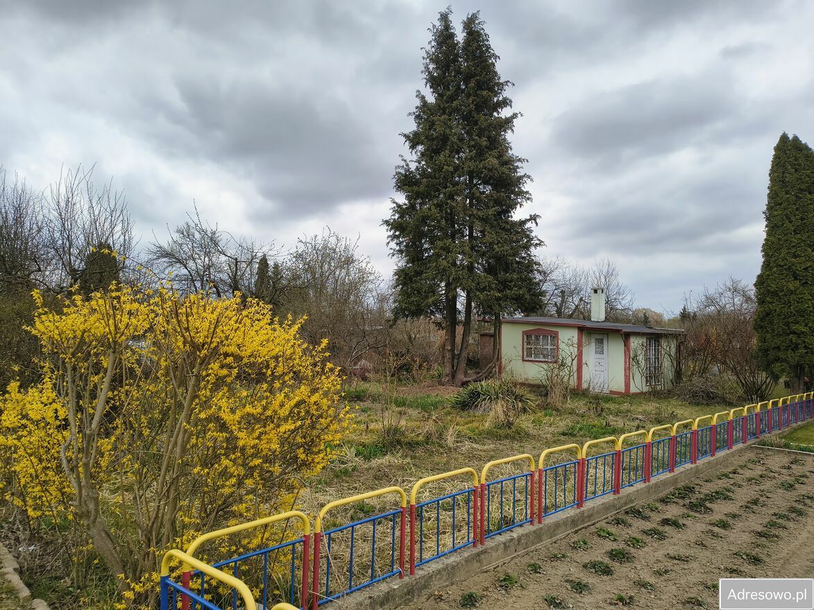 Działka rod Świebodzin, ul. Kozia. Zdjęcie 2