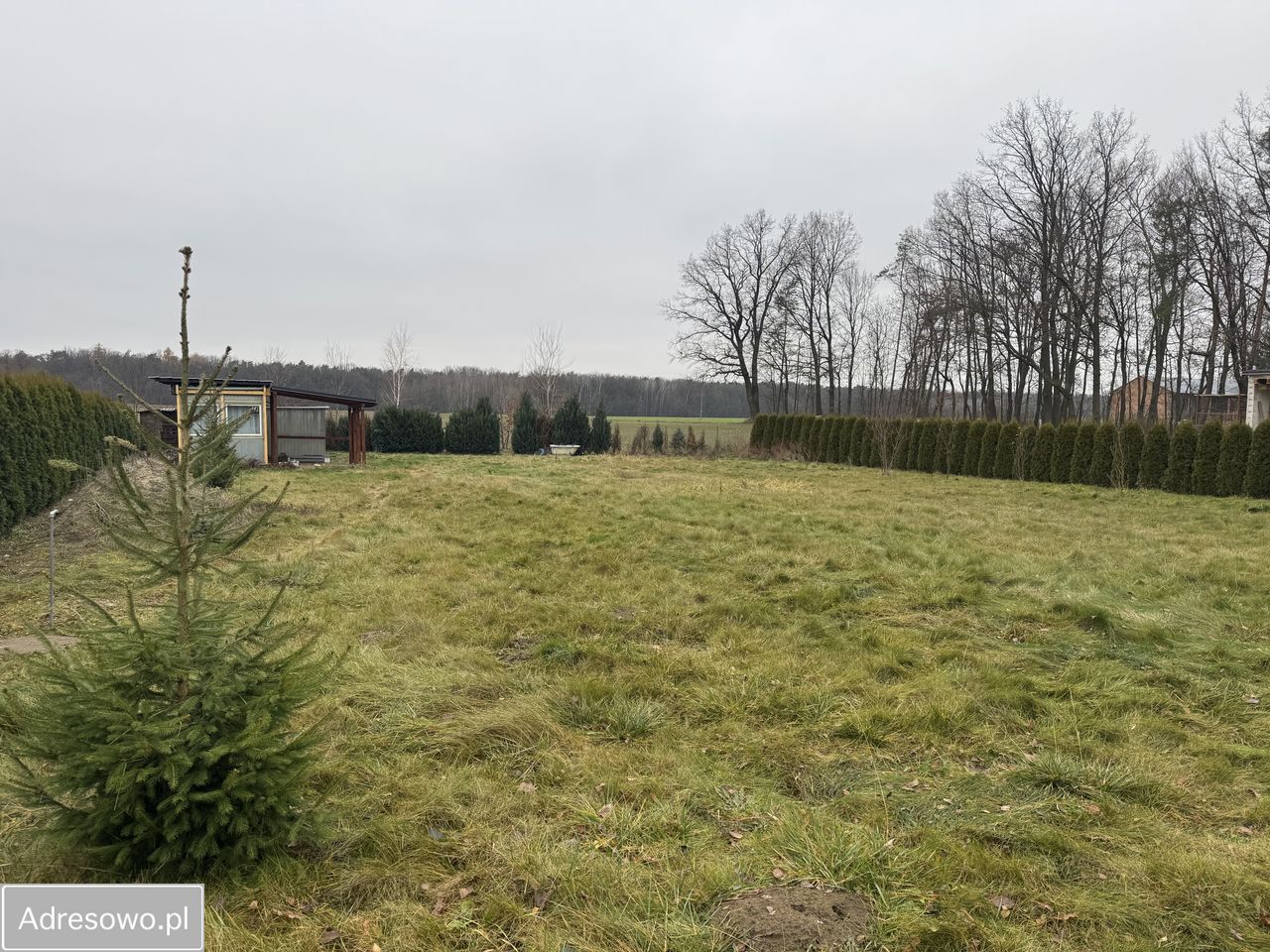 Działka budowlana Obroki. Zdjęcie 6