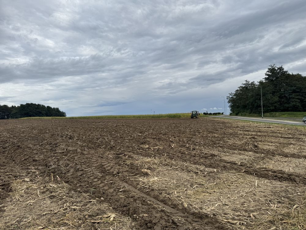 Działka budowlana Dolsk, os. Jaskółki. Zdjęcie 5