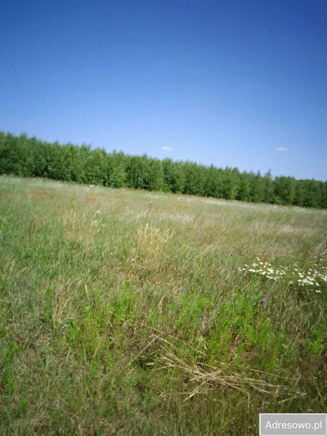 Działka budowlana Brańszczyk. Zdjęcie 2