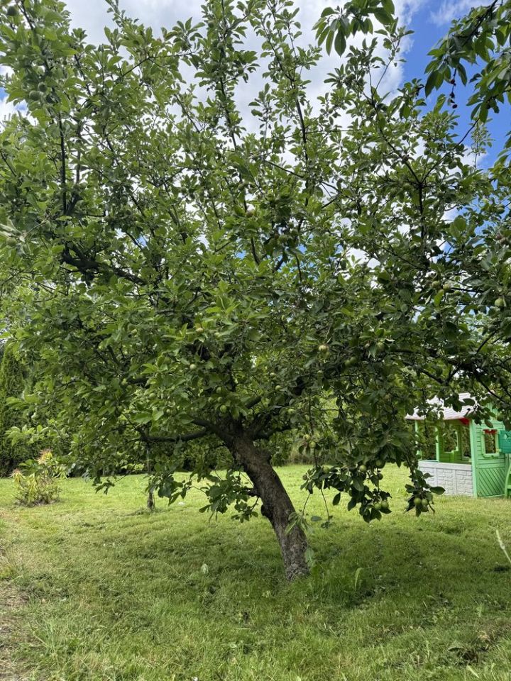 Działka rod Wejherowo, ul. mjr. Henryka Sucharskiego. Zdjęcie 6