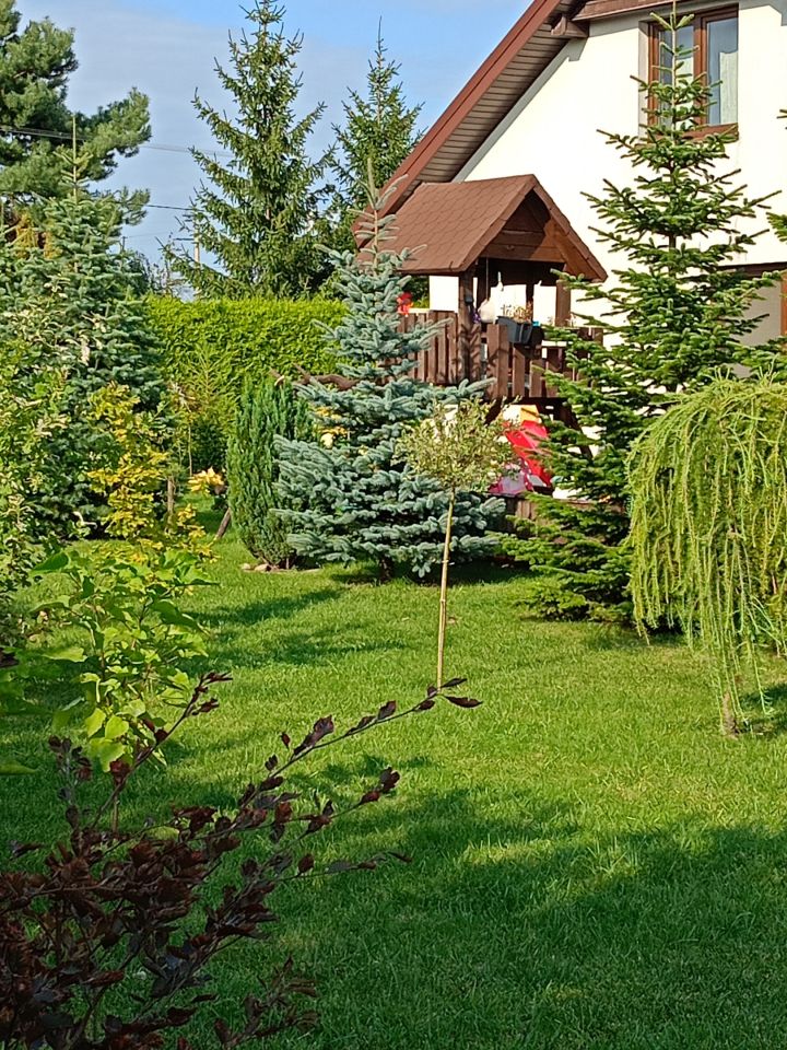 dom wolnostojący, 3 pokoje Wiktorowo. Zdjęcie 15