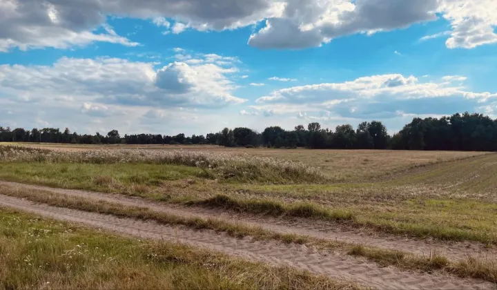 Działka rolna Ligota