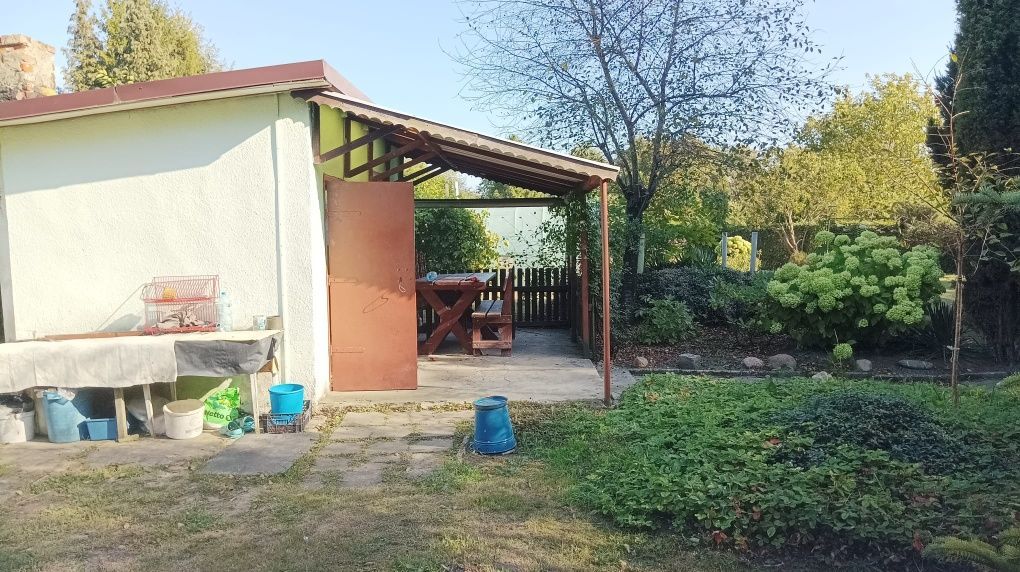 Działka rod Gliwice Sośnica. Zdjęcie 6