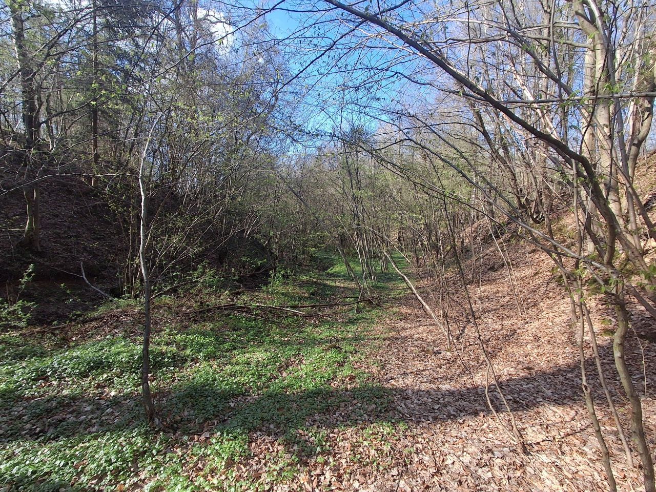 Działka leśna Lipnica Dolna, BRAK. Zdjęcie 8