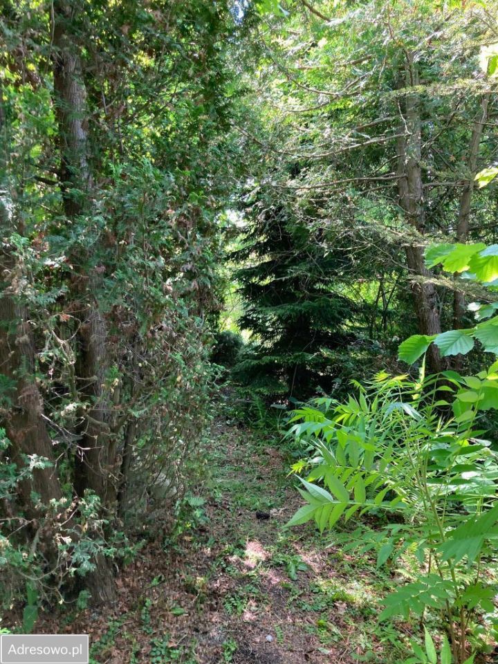 Działka rod Wołomin, ul. Zielona. Zdjęcie 6