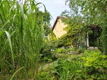 Działka rod Ziemnice, ul. Legnicka. Zdjęcie 4