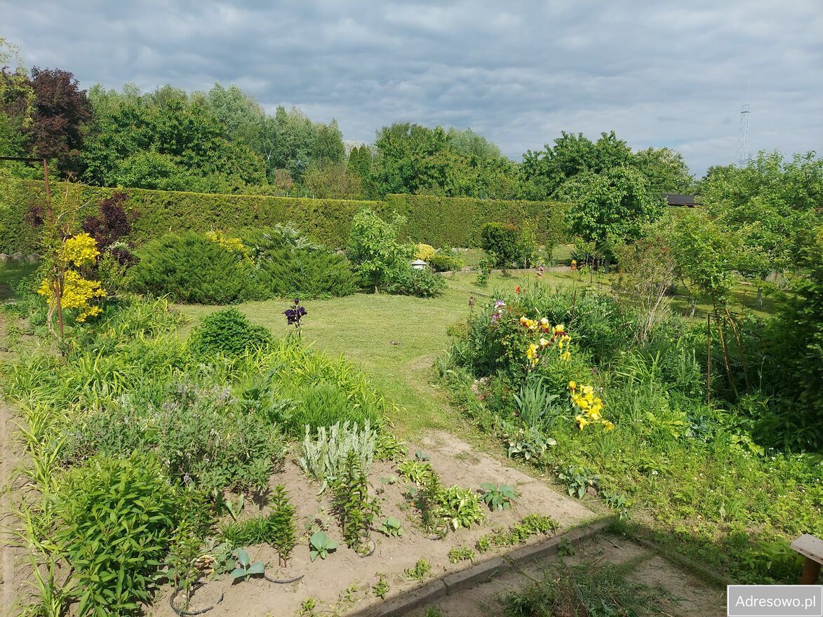 Działka rod Śrem, ul. Józefa Chełmońskiego. Zdjęcie 5