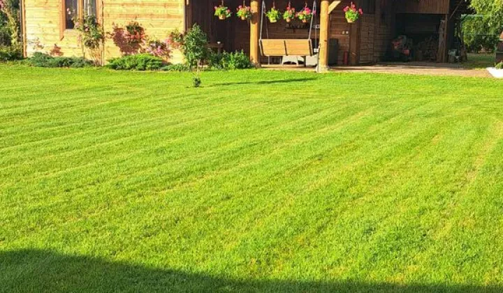 dom wolnostojący, 4 pokoje Borki, ul. Kani