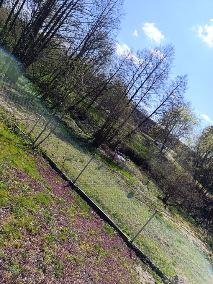 dom wolnostojący, 6 pokoi Jabłonowo-Zamek. Zdjęcie 3