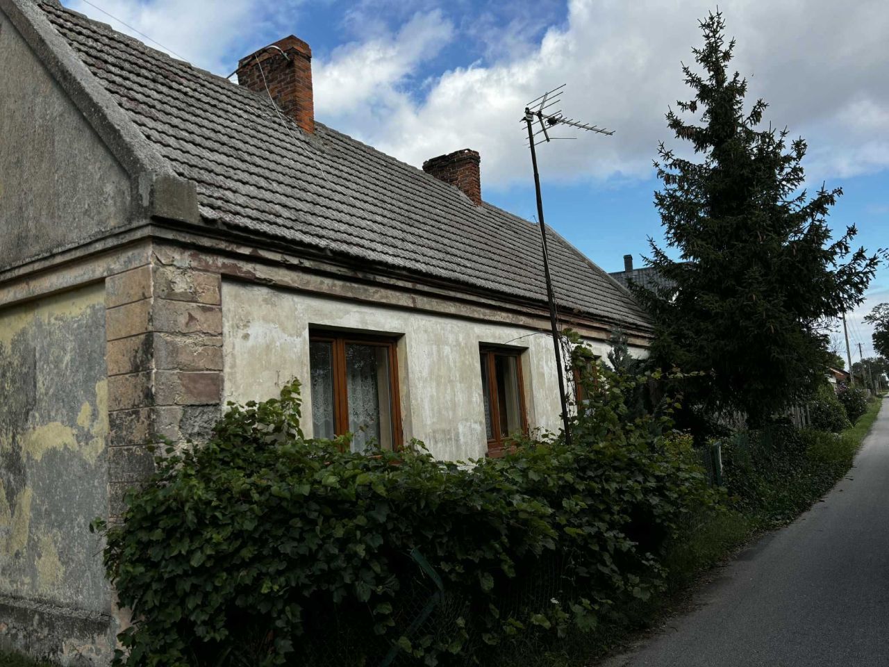 Działka rolno-budowlana Dobrzewy. Zdjęcie 4