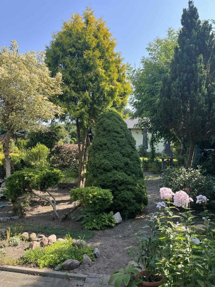 Działka rod Bydgoszcz Szwederowo. Zdjęcie 6