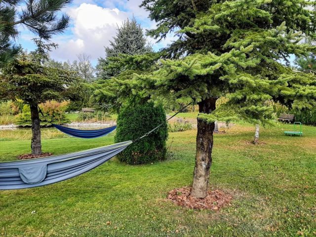 dom wolnostojący, 9 pokoi Sobącz. Zdjęcie 65