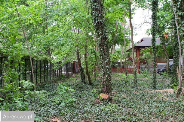 Działka budowlana Podkowa Leśna, ul. Wiewiórek. Zdjęcie 12