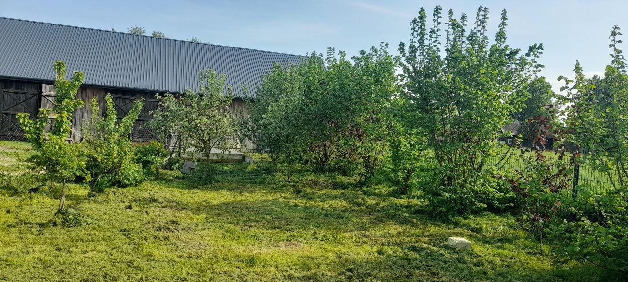 siedlisko, 6 pokoi Wyszonki-Wypychy. Zdjęcie 4