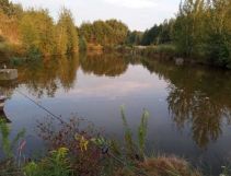 Działka budowlana Emilcin. Zdjęcie 2