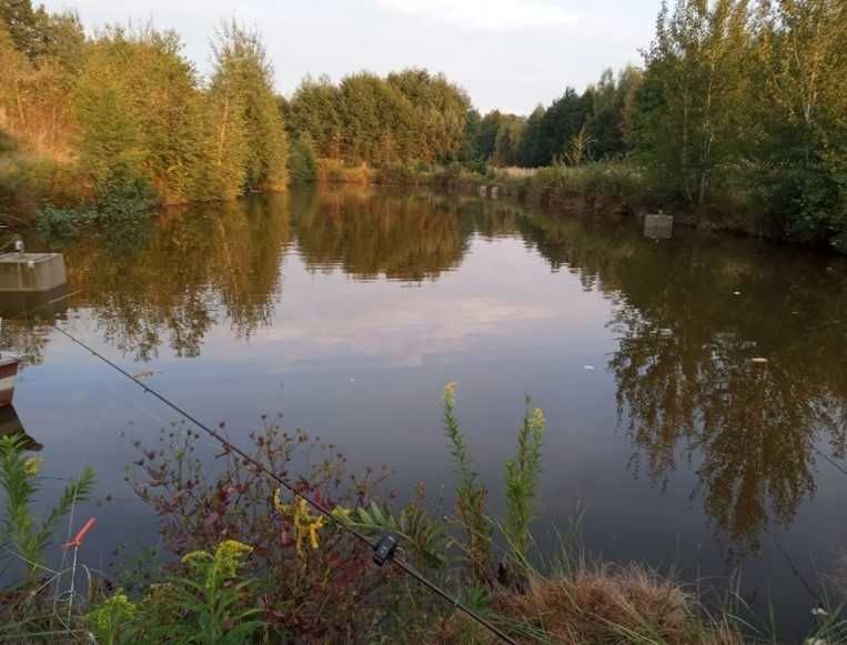 Działka budowlana Emilcin. Zdjęcie 3