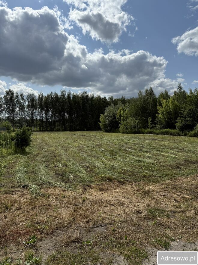 Działka budowlana Dachowa. Zdjęcie 4