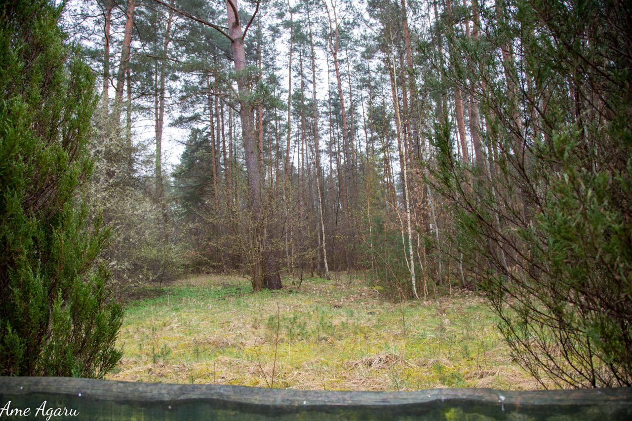 Działka budowlana Marózek. Zdjęcie 4