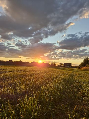 Działka rolno-budowlana Bełsznica Bełskie Stawy, Stawowa. Zdjęcie 1