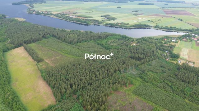 Działka leśna Makosieje. Zdjęcie 2