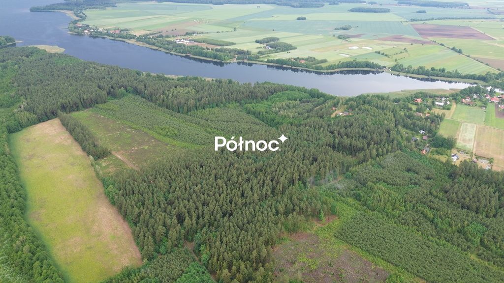 Działka leśna Makosieje. Zdjęcie 2