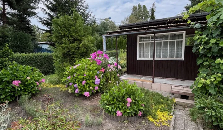 Działka rod Łódź Widzew, ul. Przędzalniana