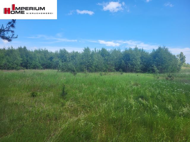 Działka budowlana Leśniewo, ul. Wrzosowa. Zdjęcie 6