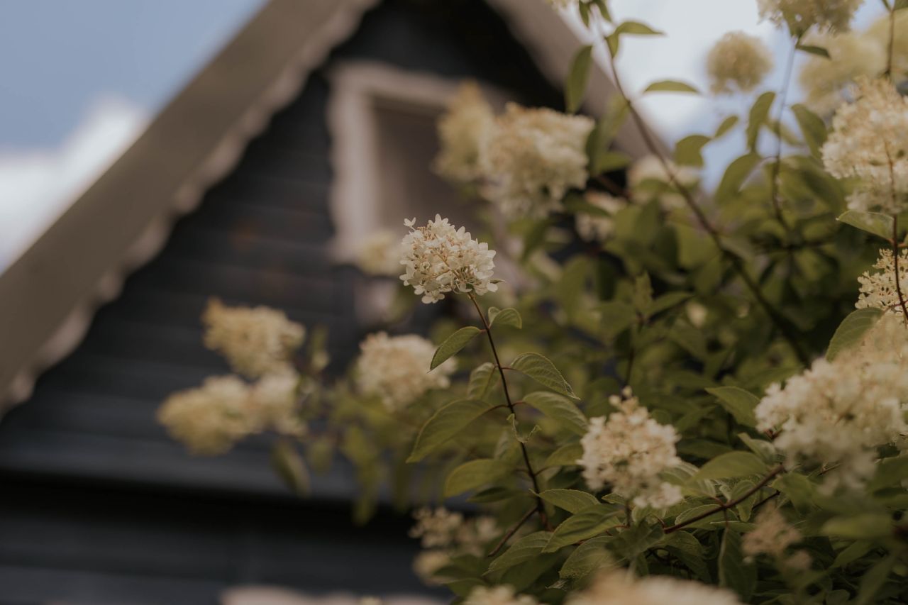 dom letniskowy, 2 pokoje Las, ul. Gronik. Zdjęcie 15