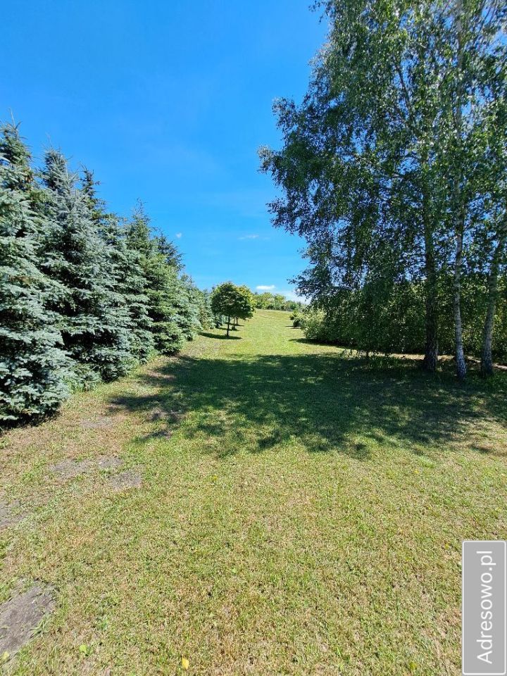 Działka budowlana Wólka Żabna. Zdjęcie 14