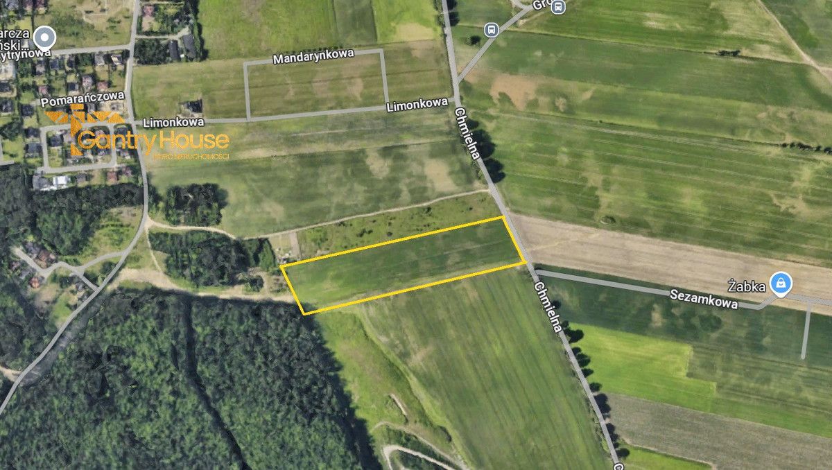 Działka inwestycyjna Dębogórze, ul. Chmielna. Zdjęcie 12