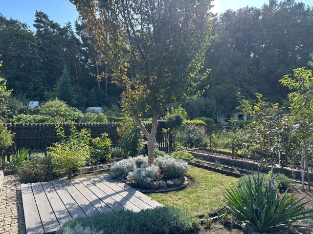 Działka rod Zielona Góra, ul. Francuska. Zdjęcie 1