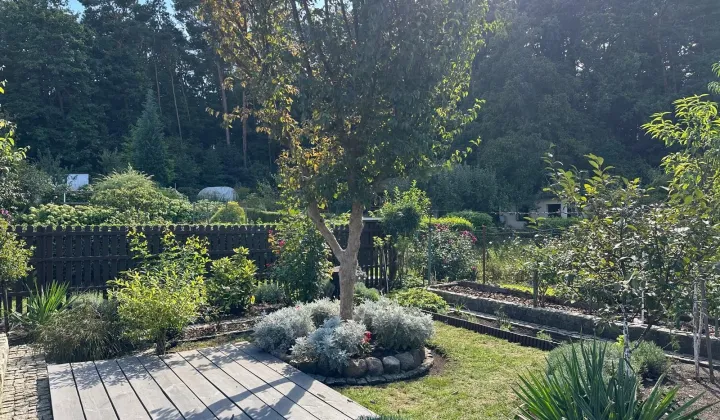 Działka rod Zielona Góra, ul. Francuska