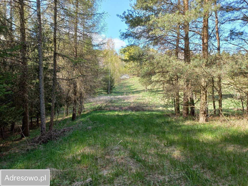 Działka rolna Niebrzydowo Wielkie. Zdjęcie 9