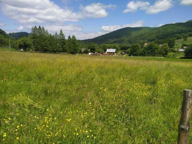 Działka budowlana Terka. Zdjęcie 4