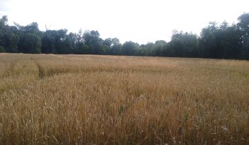 Działka siedliskowa Karczyce