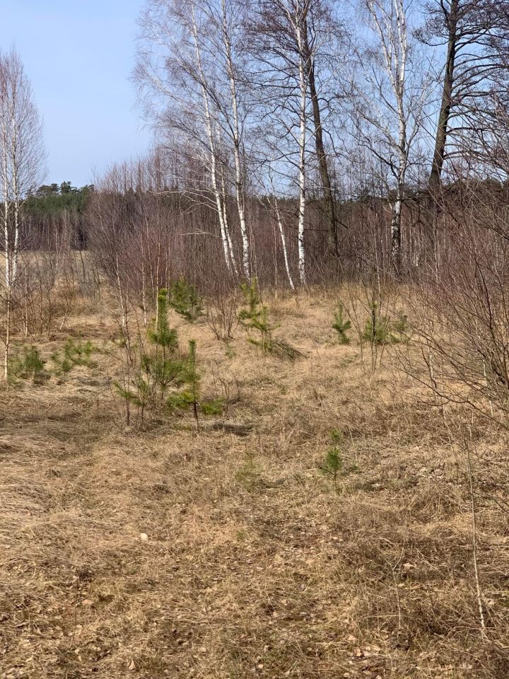 Działka rolno-budowlana Podgać. Zdjęcie 4