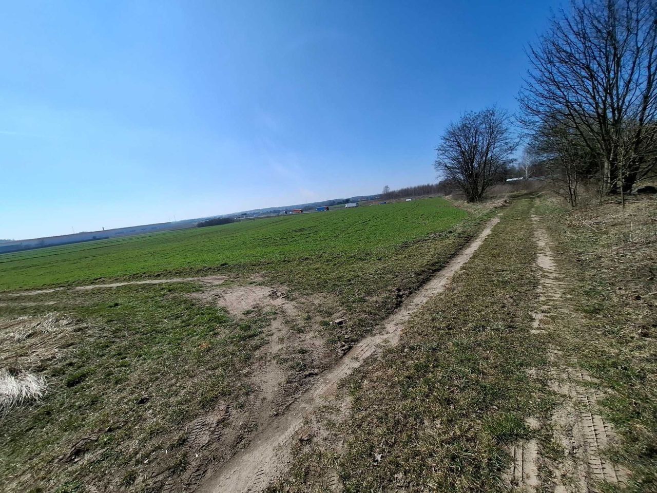 Działka inwestycyjna Teolin. Zdjęcie 4