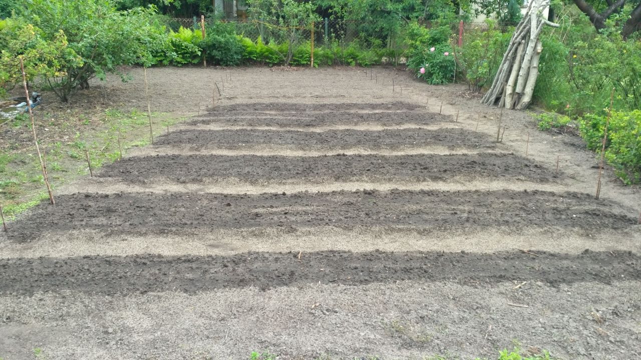 Działka rod Warszawa Paluch, ul. Ogrodników. Zdjęcie 8