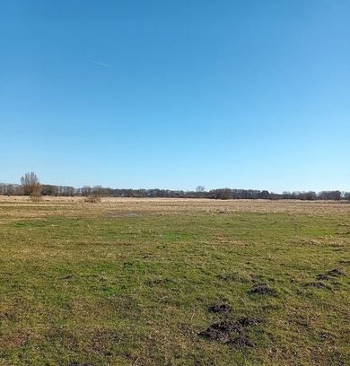 Działka rolna Kodrąb. Zdjęcie 4