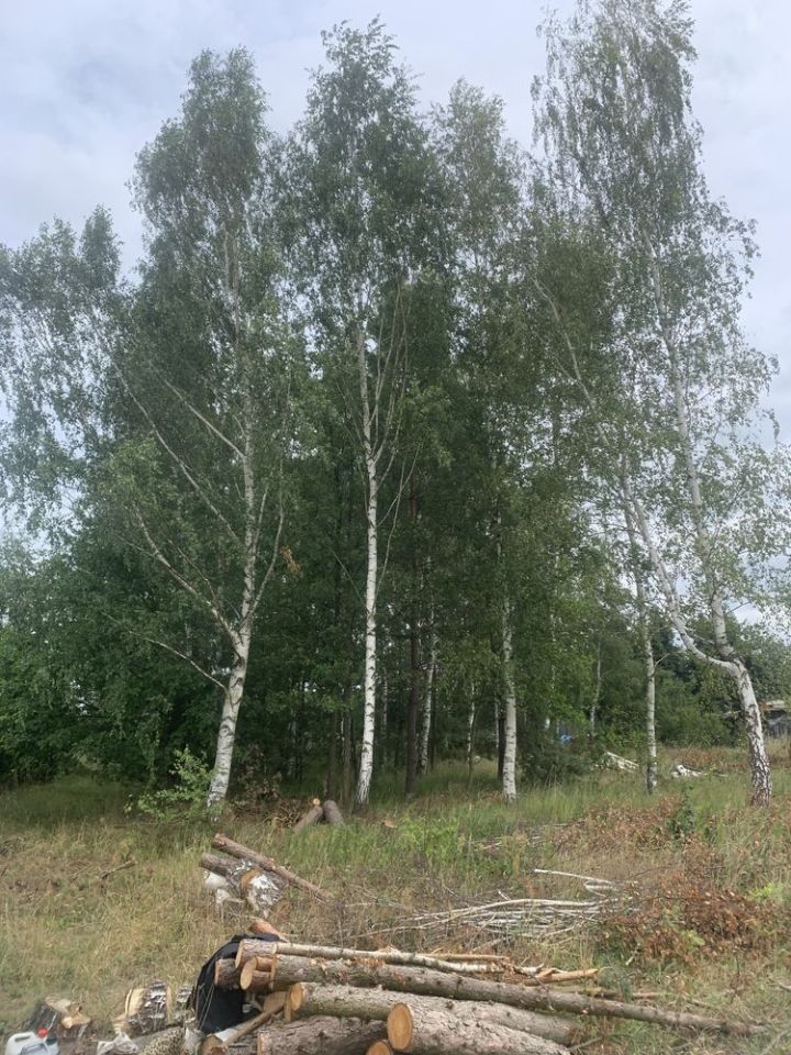 Działka budowlana Dobrzyń. Zdjęcie 3